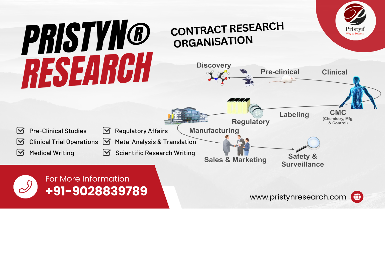 About Thesis writing services by Pristyn Research®